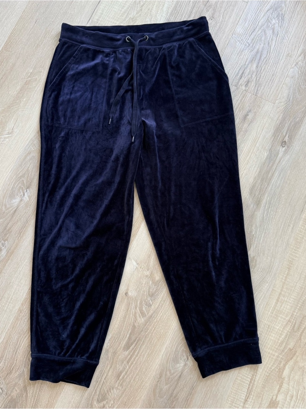 Saturday/Sunday Anthropologie Merida Velvet Velour Jogger Pants Navy Size Mediun